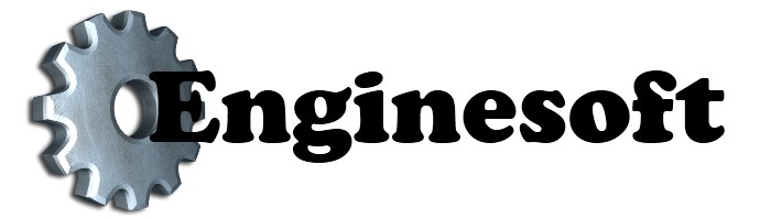 Enginesoft Informática